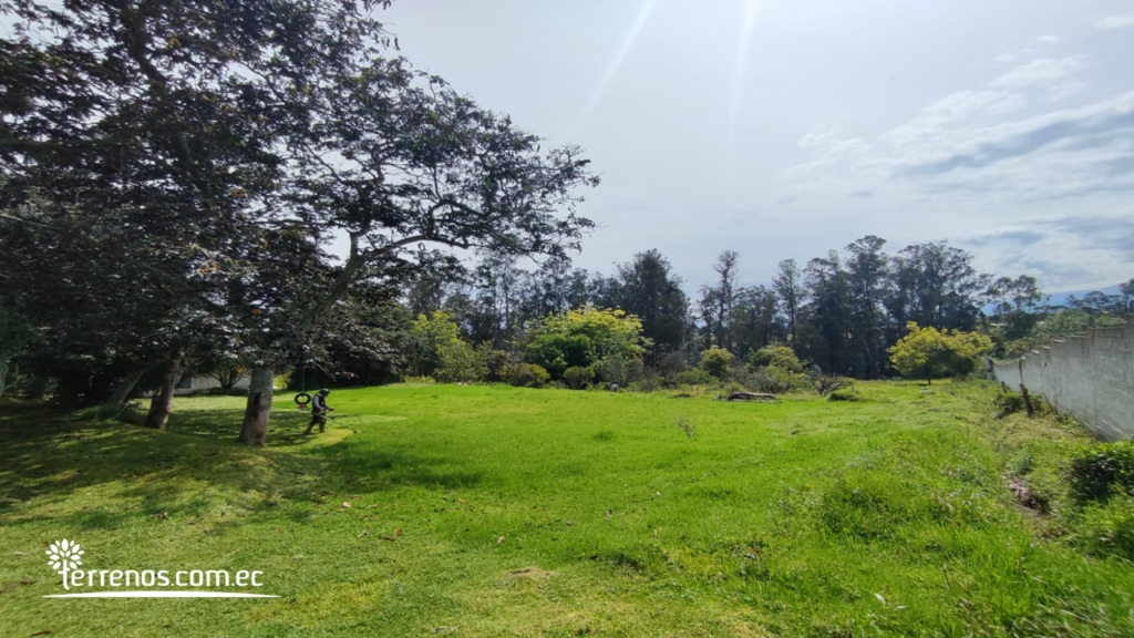 Vista adicional de terreno en venta en Puembo, Quito, Pichincha