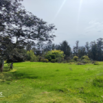 Vista adicional de terreno en venta en Puembo, Quito, Pichincha