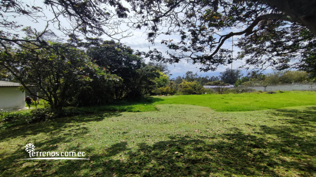 Vista adicional de terreno en venta en Puembo, Quito, Pichincha