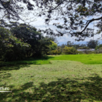 Vista adicional de terreno en venta en Puembo, Quito, Pichincha