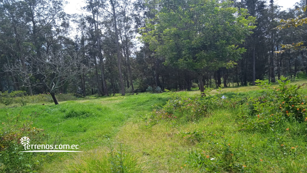 Vista adicional de terreno en venta en Puembo, Quito, Pichincha