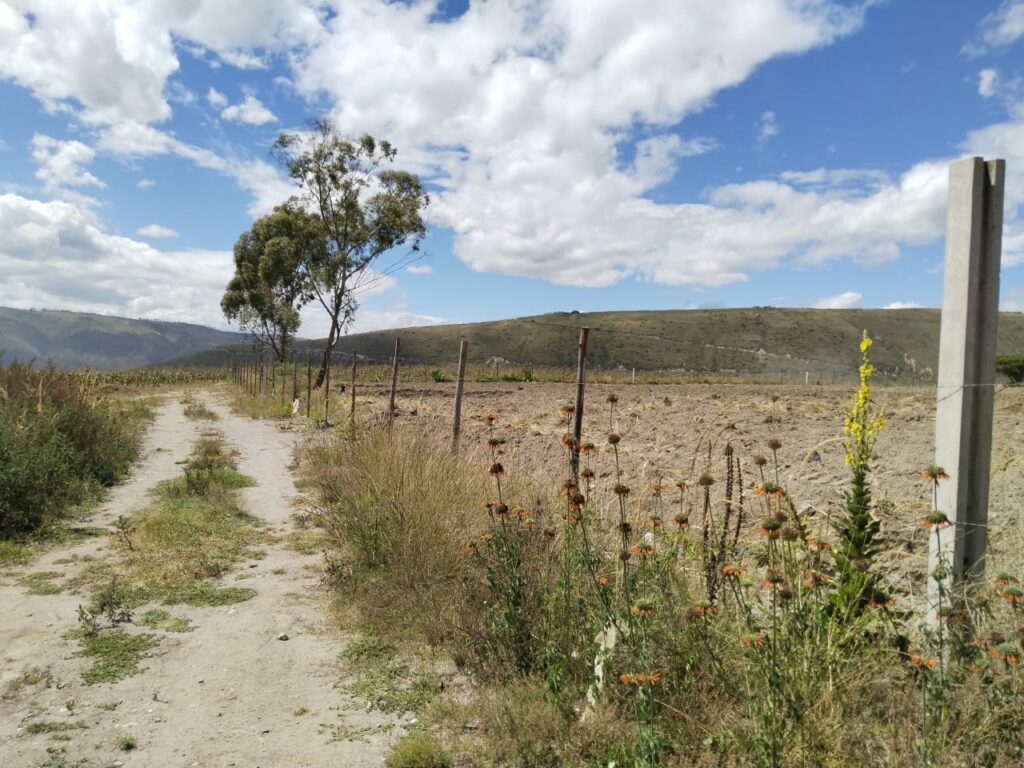 Vista adicional de terreno en venta en San Antonio de Pichincha, Quito, Pichincha