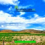 Vista adicional de terreno en venta en Guayllabamba, Quito, Pichincha