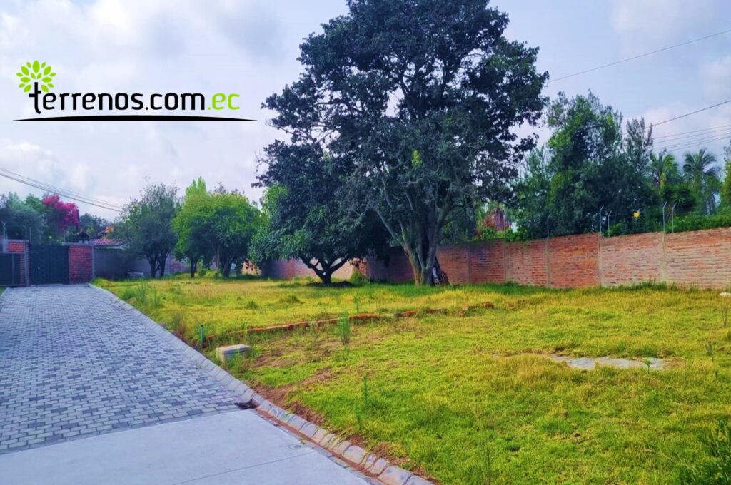 Vista adicional de terreno en venta en Puembo, Quito, Pichincha