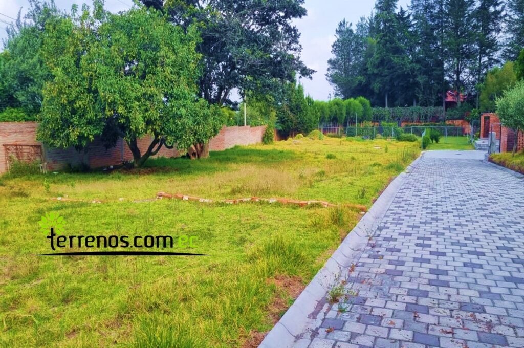 Vista adicional de terreno en venta en Puembo, Quito, Pichincha