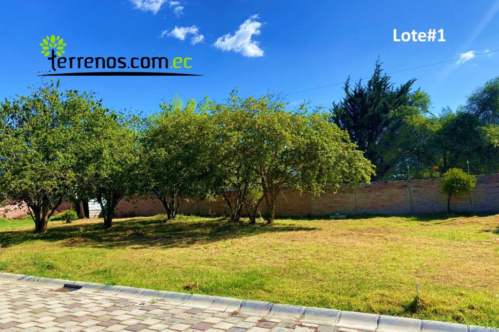 Vista adicional de terreno en venta en Puembo, Quito, Pichincha