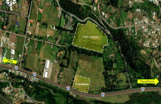Terreno de renta con opción a venta vía Papallacta 1 a 3 hectáreas , Sector Sigsipamba