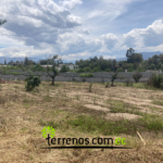 Vista adicional de terreno en venta en Puembo, Quito, Pichincha